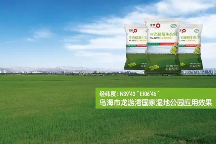 杏宇娱乐官方网站图片