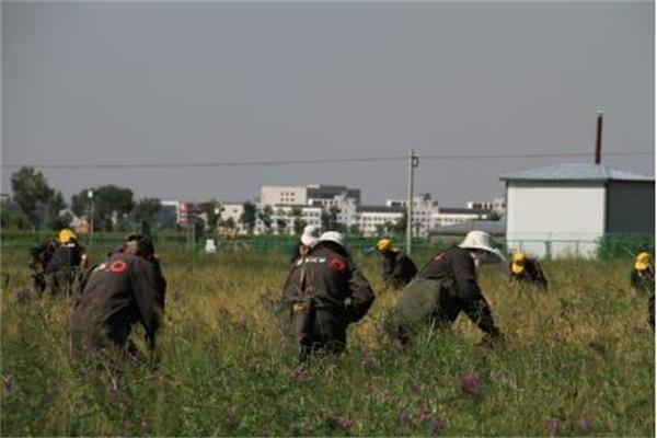 杏宇娱乐 ce1f9