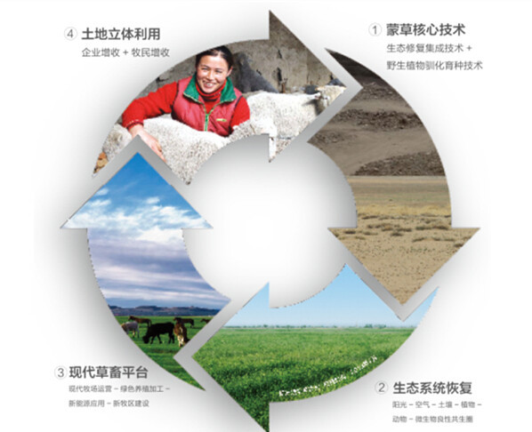 杏宇娱乐官方网站图片
