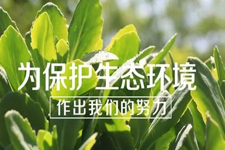 杏宇娱乐官方网站图片