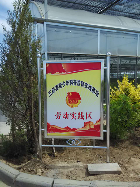 杏宇娱乐官方网站图片
