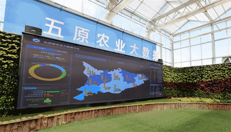 杏宇娱乐 d7136