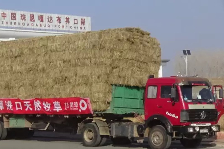 杏宇娱乐官方网站图片