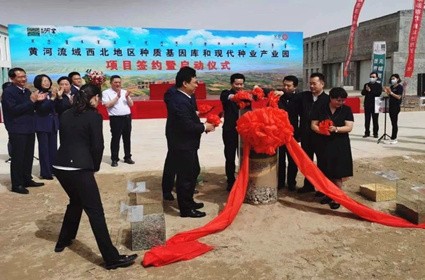 杏宇娱乐 1255b