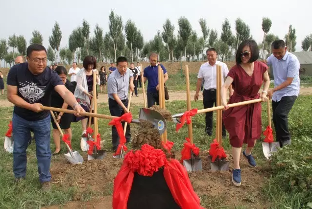 杏宇娱乐 8ff00