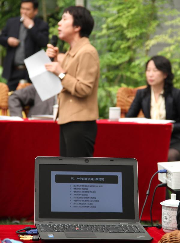 杏宇娱乐官方网站图片