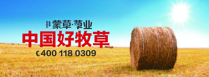杏宇娱乐官方网站图片