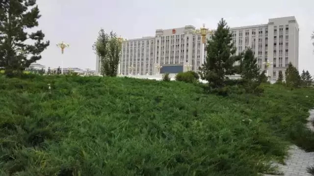 杏宇娱乐官方网站图片