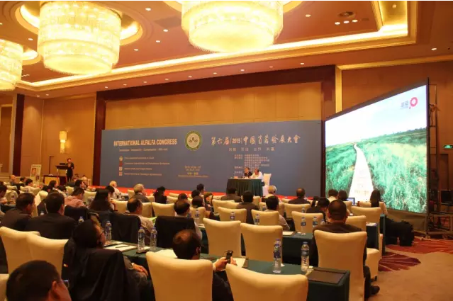 杏宇娱乐 0d4d3