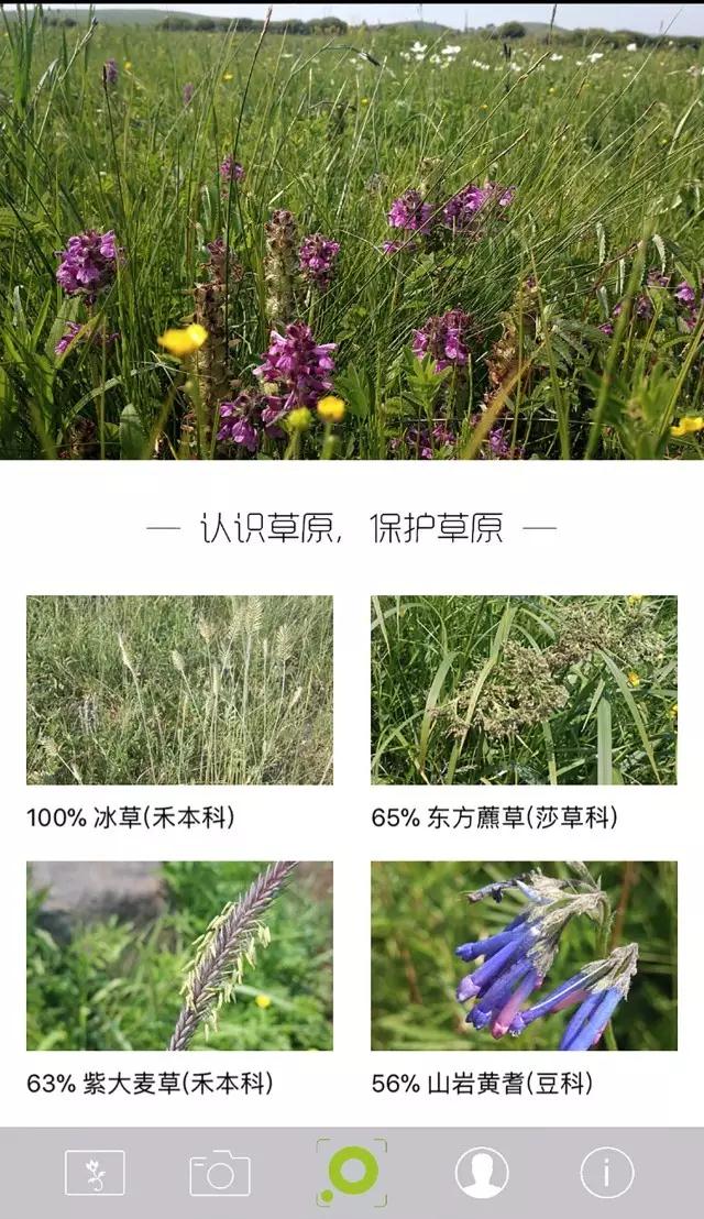 杏宇娱乐官方网站图片