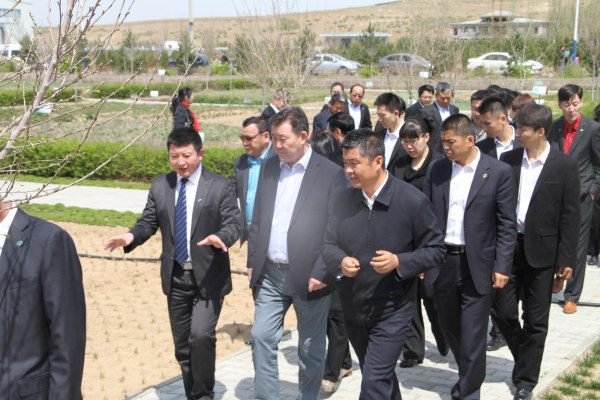 杏宇娱乐官方网站图片