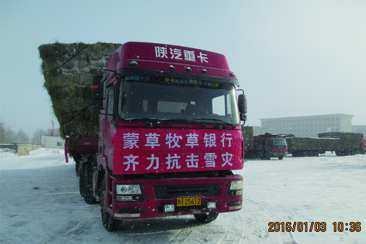 杏宇娱乐官方网站图片