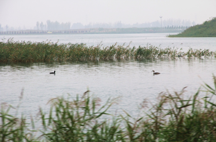 杏宇娱乐 46b56