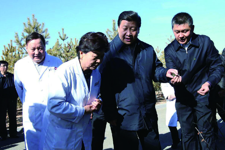 杏宇娱乐官方网站图片