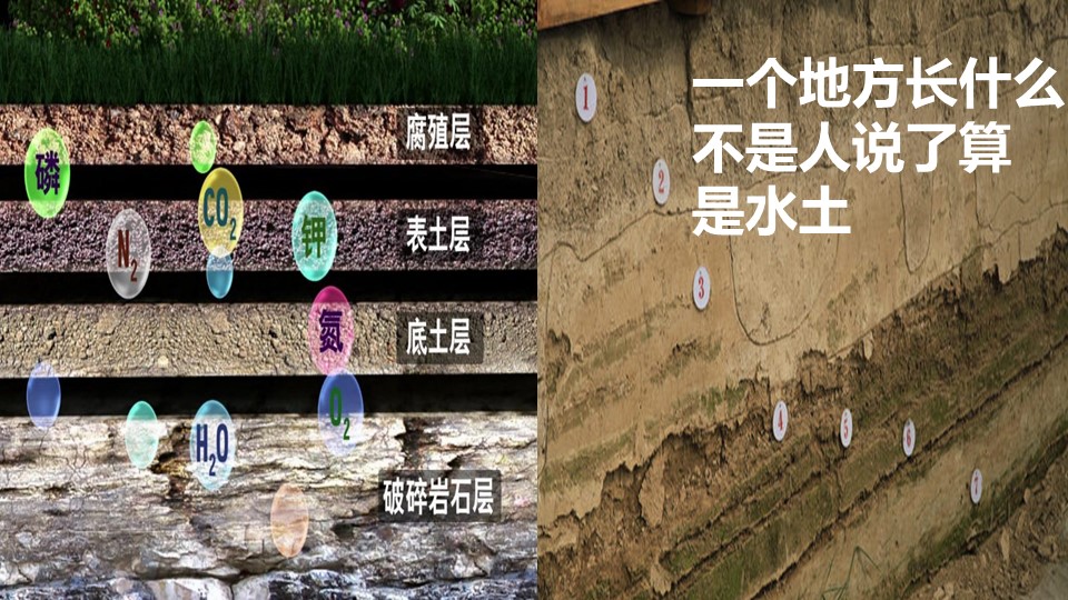 杏宇娱乐 013d1