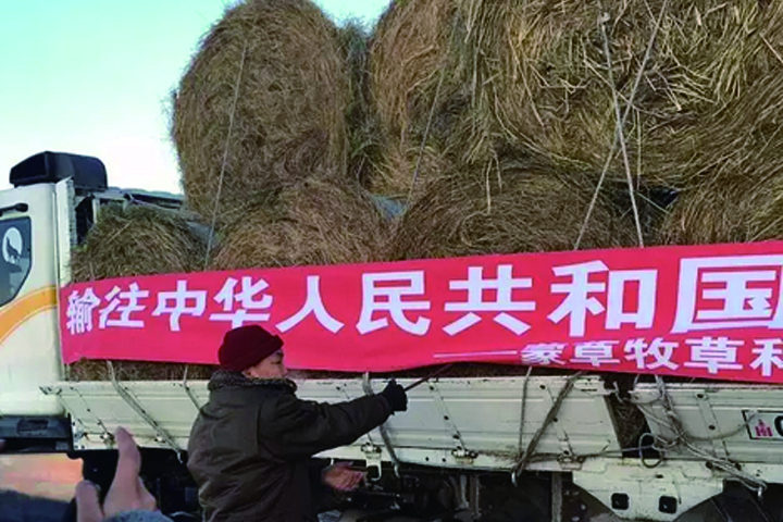 杏宇娱乐官方网站图片