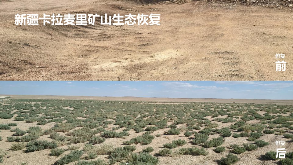 杏宇娱乐 d0500