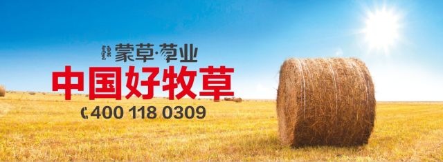 杏宇娱乐 a7983