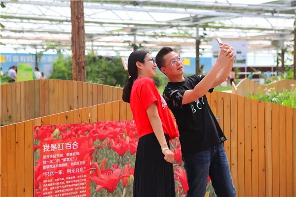 杏宇娱乐官方网站图片