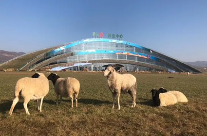 杏宇娱乐 9f248