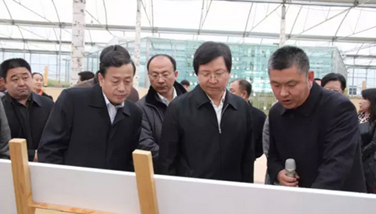 杏宇娱乐 a6e29