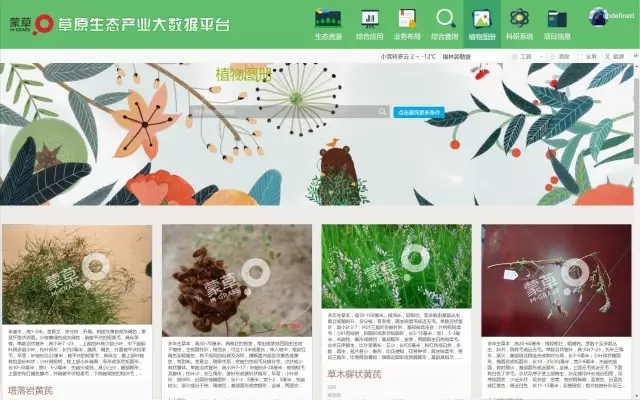 杏宇娱乐官方网站图片