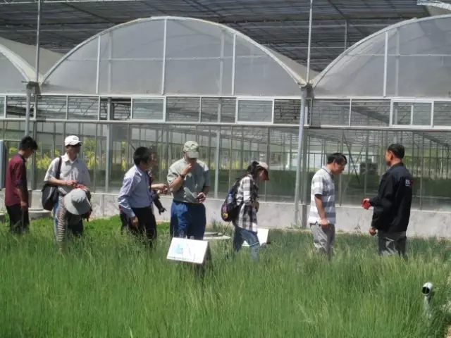 杏宇娱乐官方网站图片