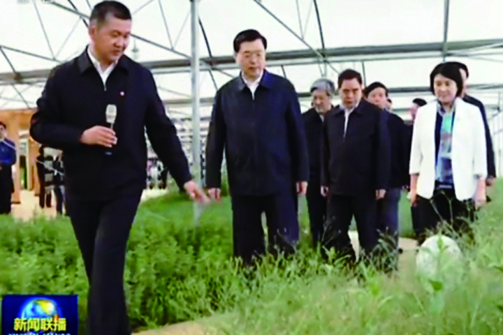 杏宇娱乐官方网站图片