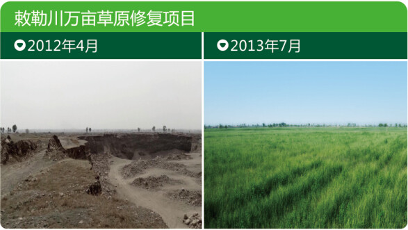 杏宇娱乐官方网站图片