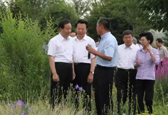 杏宇娱乐官方网站图片