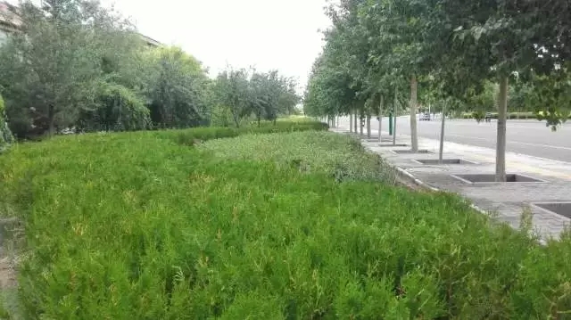 杏宇娱乐官方网站图片