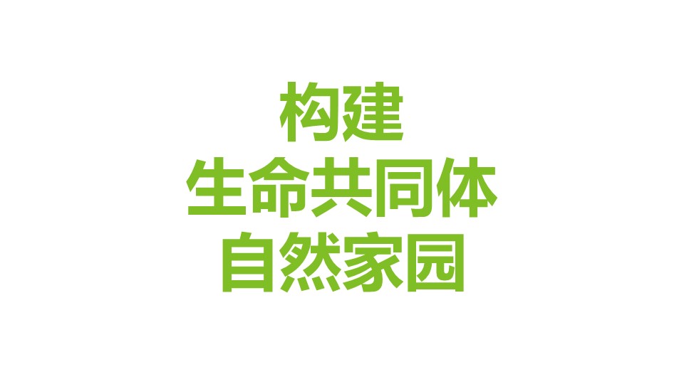 杏宇娱乐 080e2