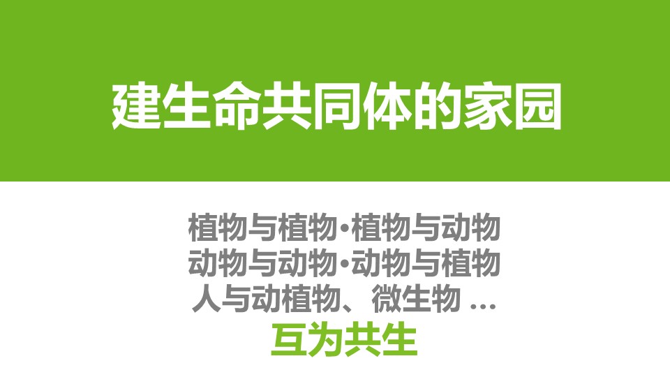 杏宇娱乐 1a4f6