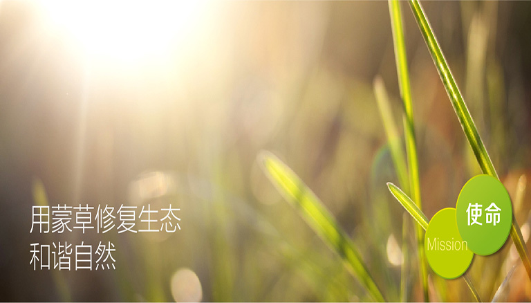杏宇娱乐 d0b65