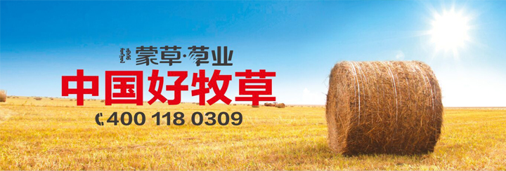 杏宇娱乐官方网站图片