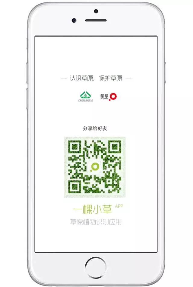 杏宇娱乐官方网站图片