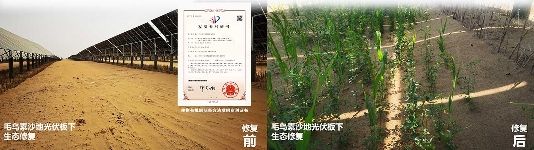 杏宇娱乐 162c2