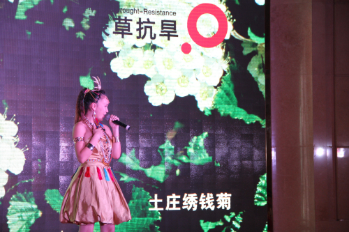 杏宇娱乐官方网站图片
