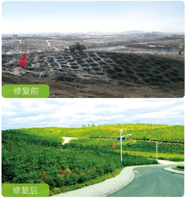 杏宇娱乐官方网站图片