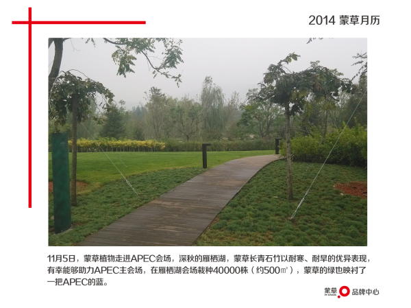 杏宇娱乐 1fefd