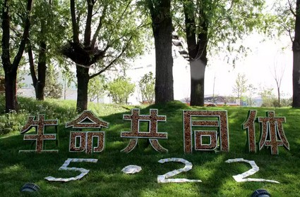杏宇娱乐 b0932