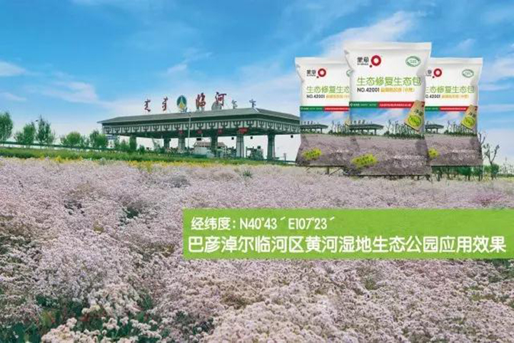 杏宇娱乐官方网站图片