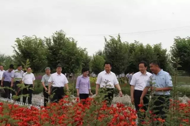 杏宇娱乐官方网站图片