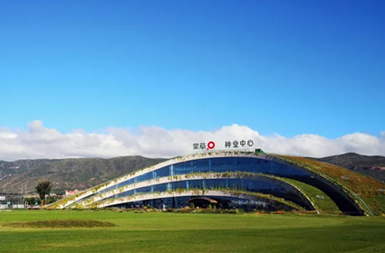 杏宇娱乐 60f5c