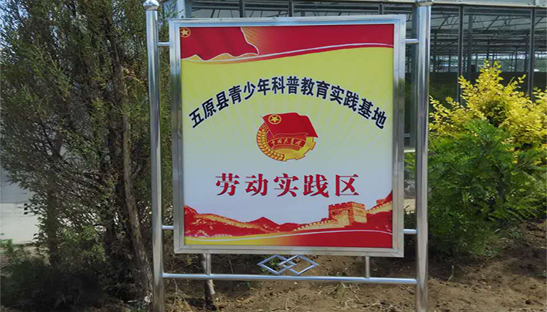 杏宇娱乐 8a80d
