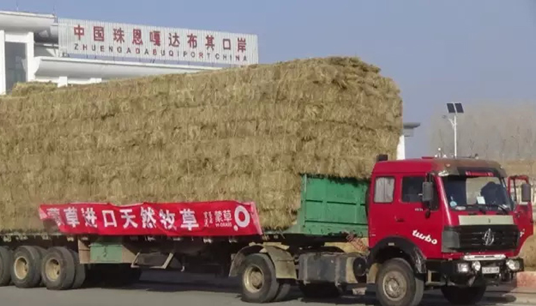 杏宇娱乐 3279e