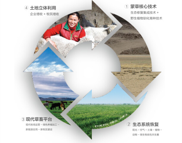 杏宇娱乐官方网站图片