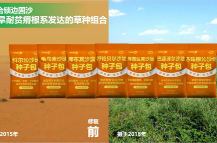 杏宇娱乐 61ebc