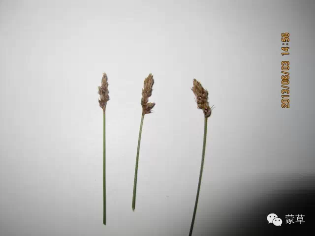 杏宇娱乐官方网站图片