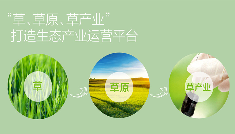 杏宇娱乐 7c6b5